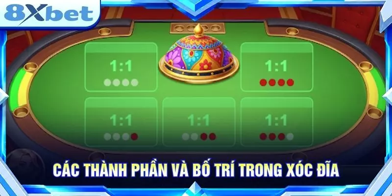 Các thành phần và bố trí trong xóc đĩa
