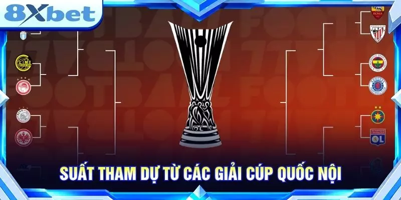 Suất tham dự từ các giải cúp quốc nội