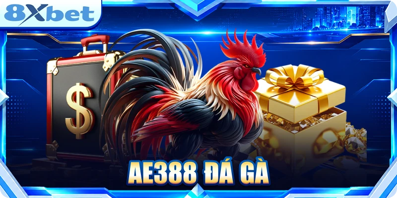 AE388 Đá Gà: Góc Nhìn Thực Tế Cho Người Mới Theo Dõi Kèo AE388 Đá Gà: Góc Nhìn Thực Tế Cho Người Mới Theo Dõi Kèo