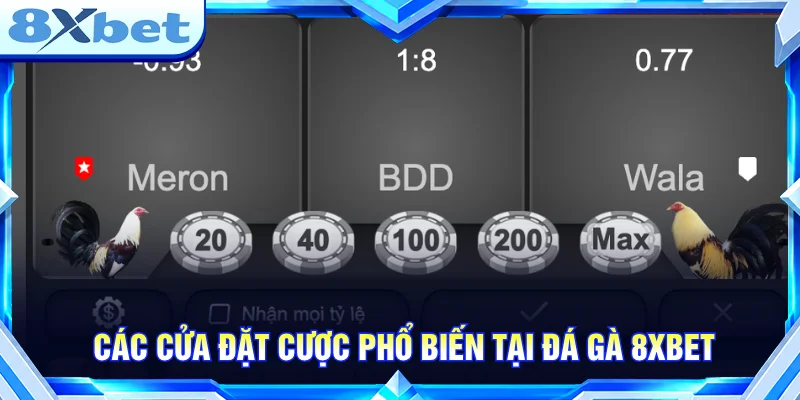 Các cửa cược phổ biến được phân loại theo hình thức và kết quả trận đấu.
