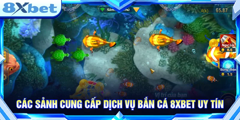 Các sảnh bắn cá 8XBET nổi bật với danh mục trò chơi đa dạng.