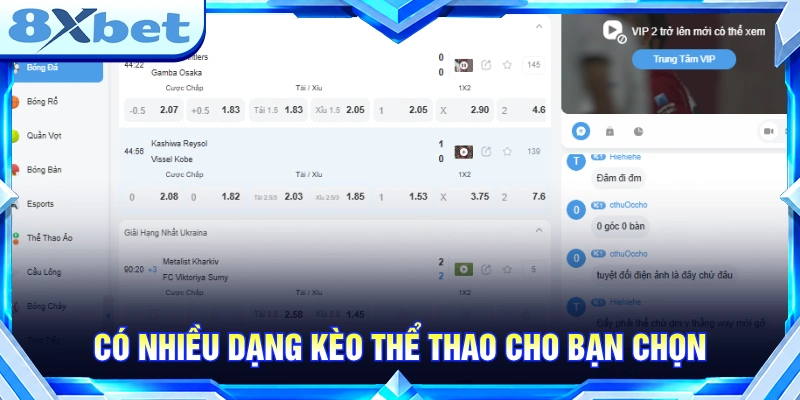 Có nhiều hình thức cược kèo thể thao cho bạn chọn 