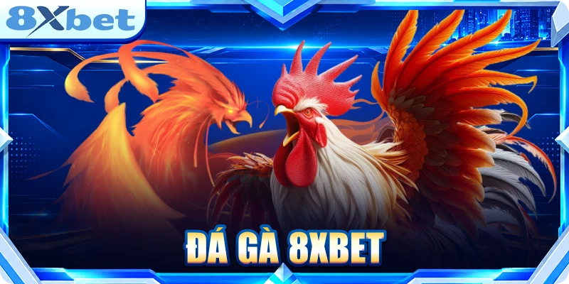 Đá gà 8XBET