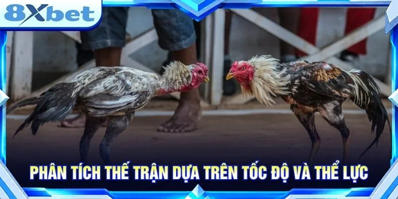 Phân tích thế trận dựa trên tốc độ và thể lực