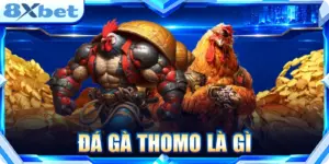 Đá gà thomo là gì