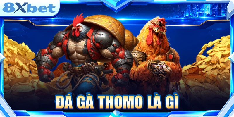Đá gà thomo là gì