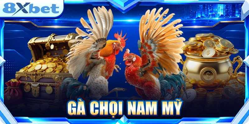Gà chọi nam mỹ