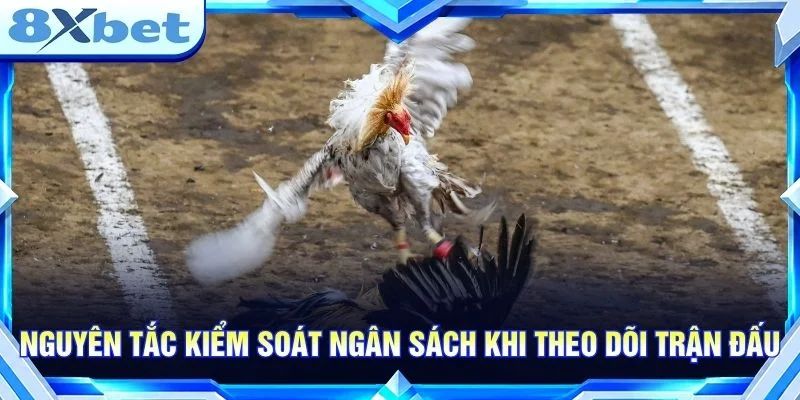 Nguyên tắc kiểm soát ngân sách khi theo dõi trận đấu