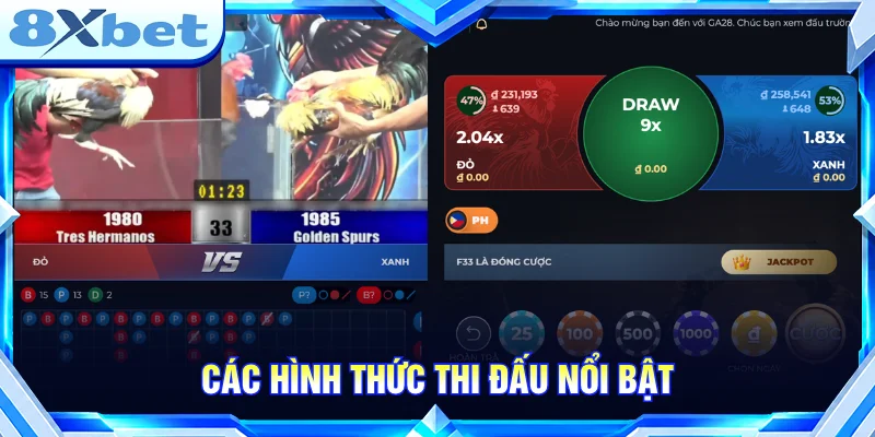 Sảnh đá gà 8XBET tổng hợp nhiều hình thức thi đấu với đặc điểm riêng.