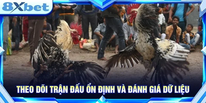 AE388 Đá Gà: Góc Nhìn Thực Tế Cho Người Mới Theo Dõi Kèo Theo dõi trận đấu ổn định và đánh giá dữ liệu
